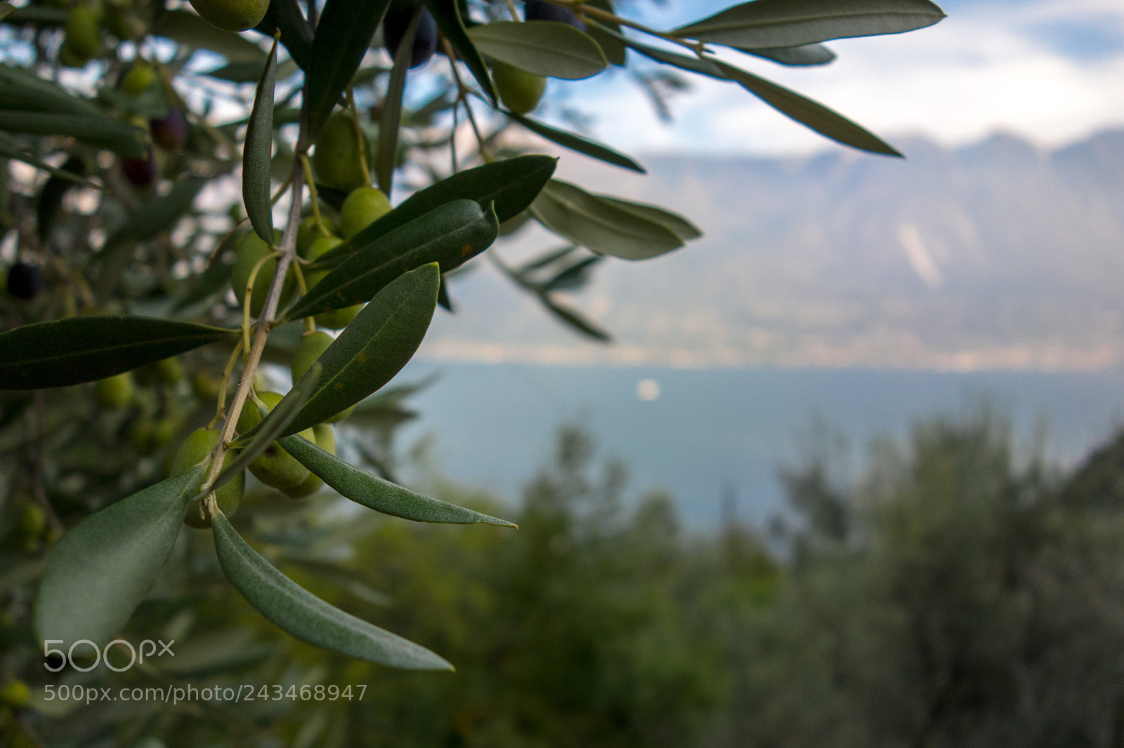 Sony Cyber-shot DSC-RX100 sample photo. View above lago di photography