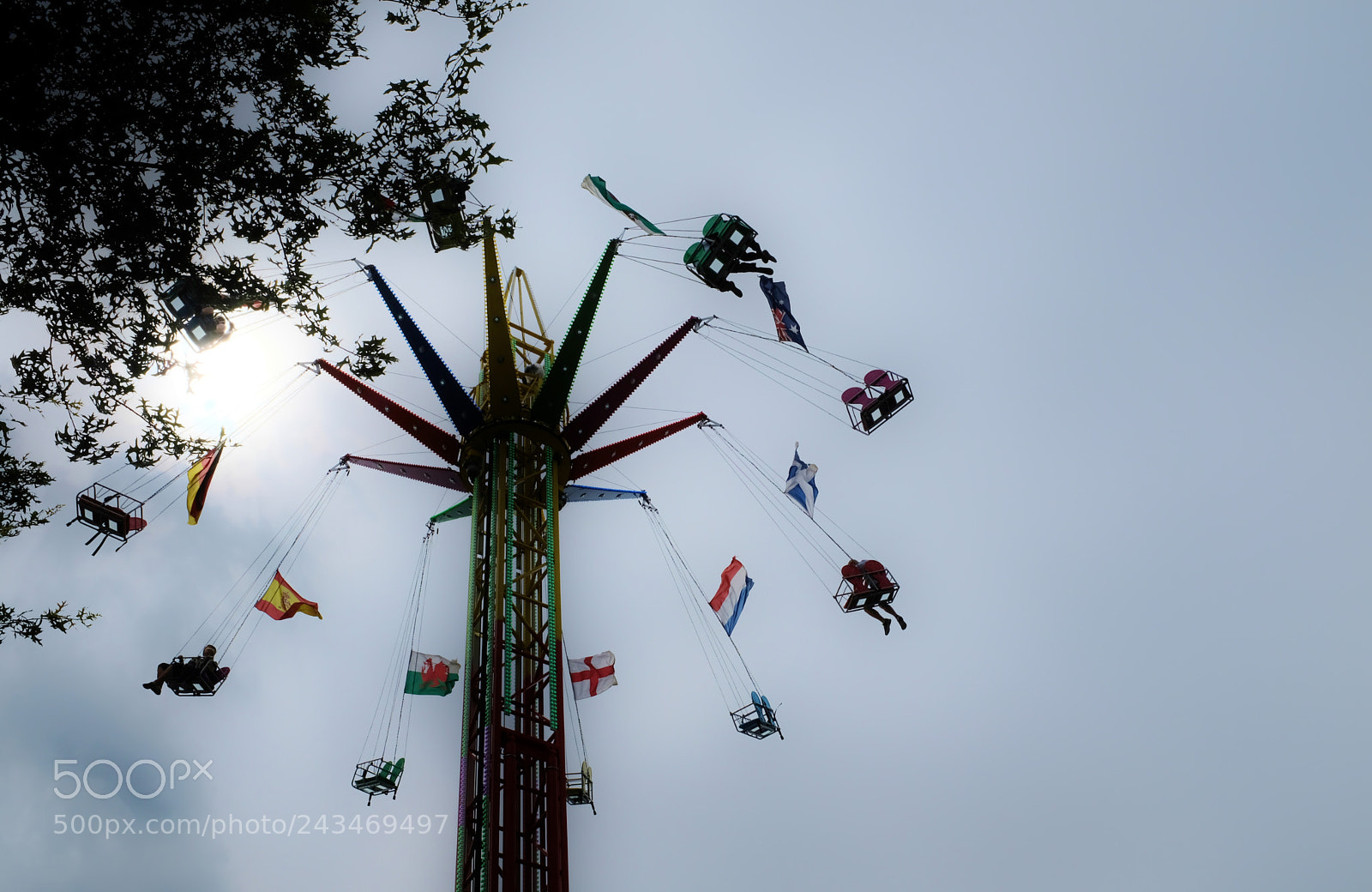 Fujifilm X100F sample photo. Swing from the treetops photography