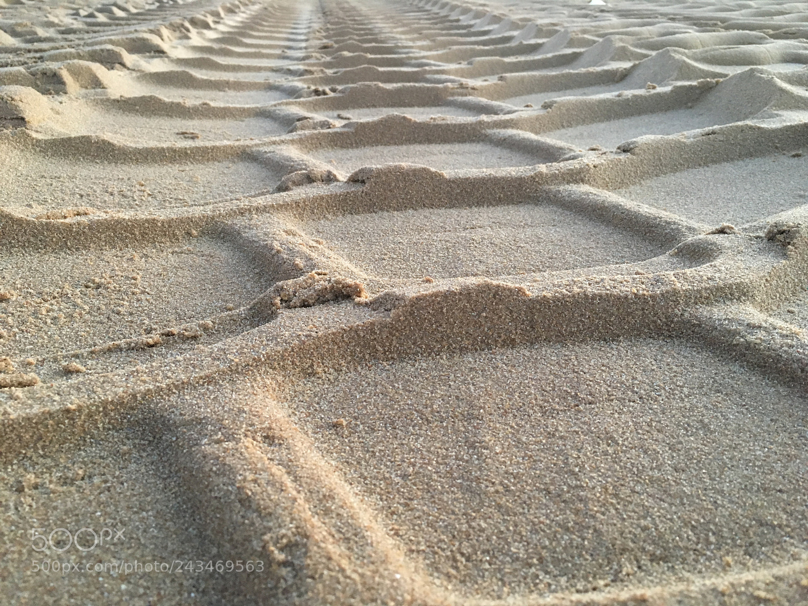 Apple iPhone 6s sample photo. Sur les traces sans photography