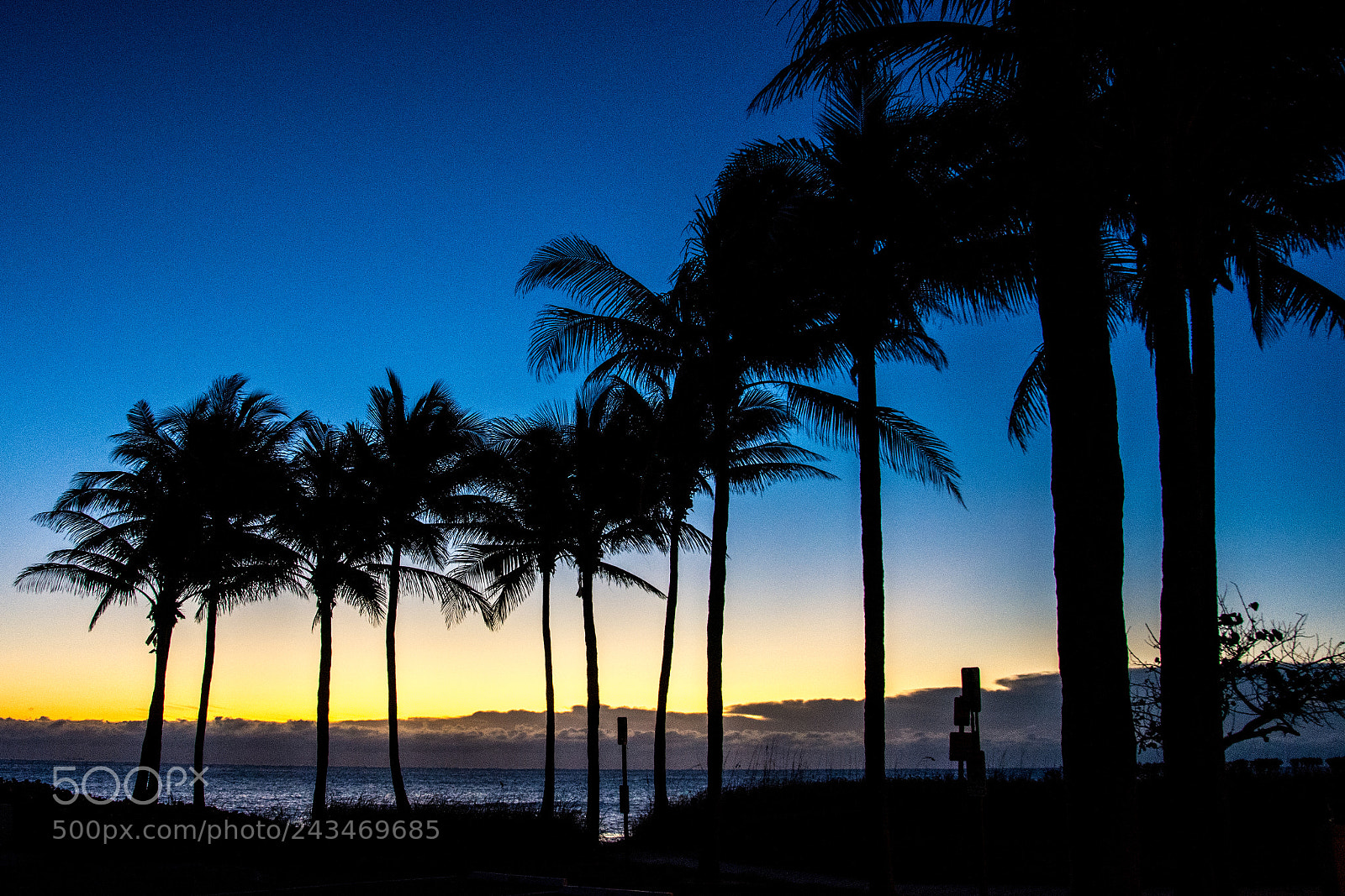 Nikon D7200 sample photo. Sunrise at the beach photography