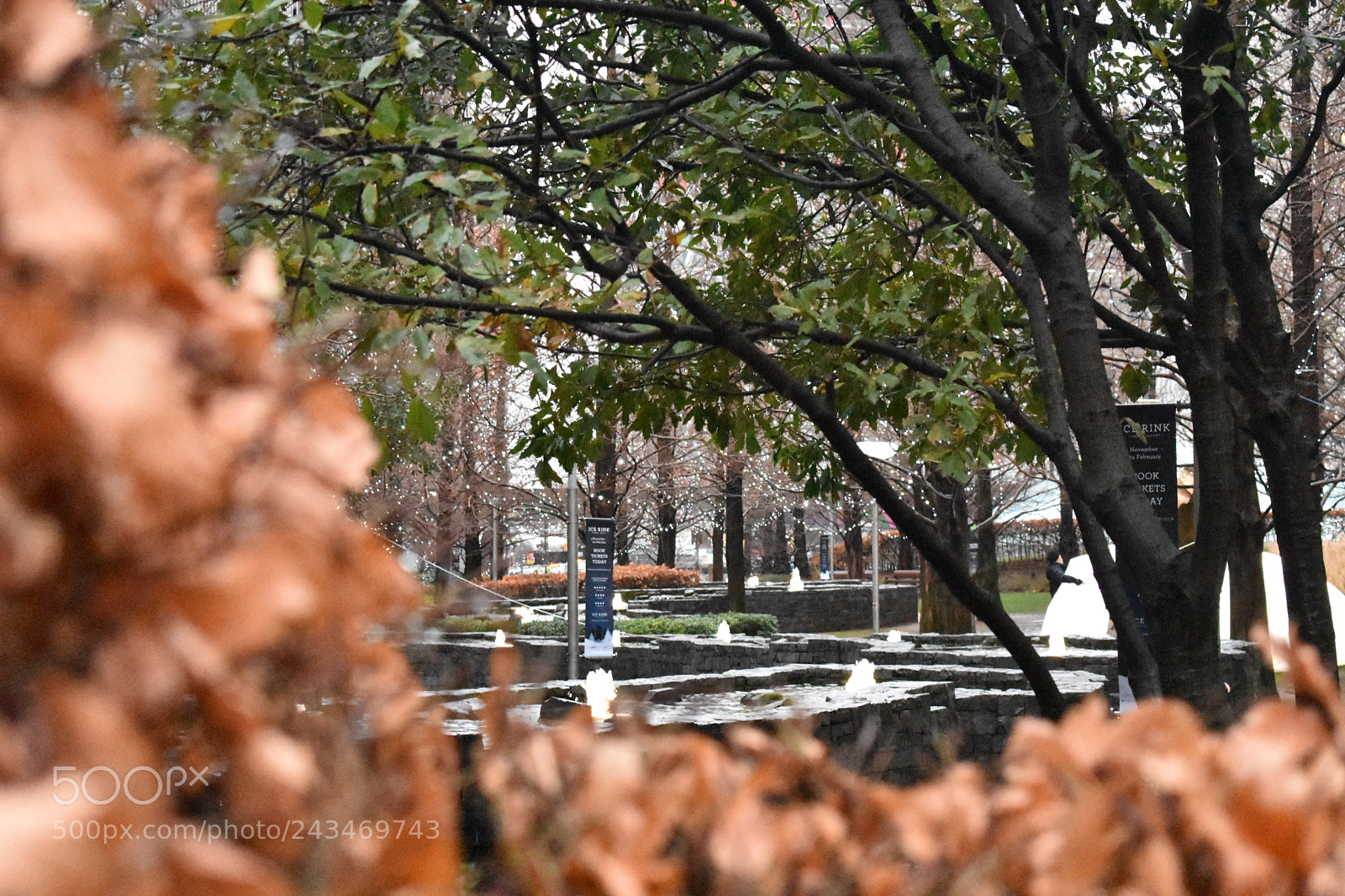 Nikon D3400 sample photo. Park fountains photography