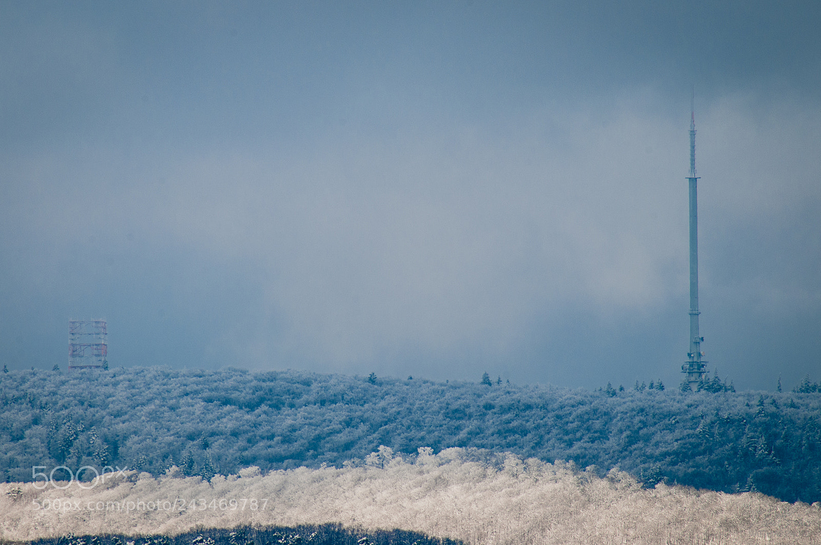 Nikon D300 sample photo. A winterview photography