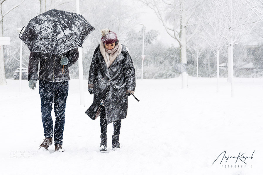 Nikon D90 sample photo. Rotterdam in snow photography