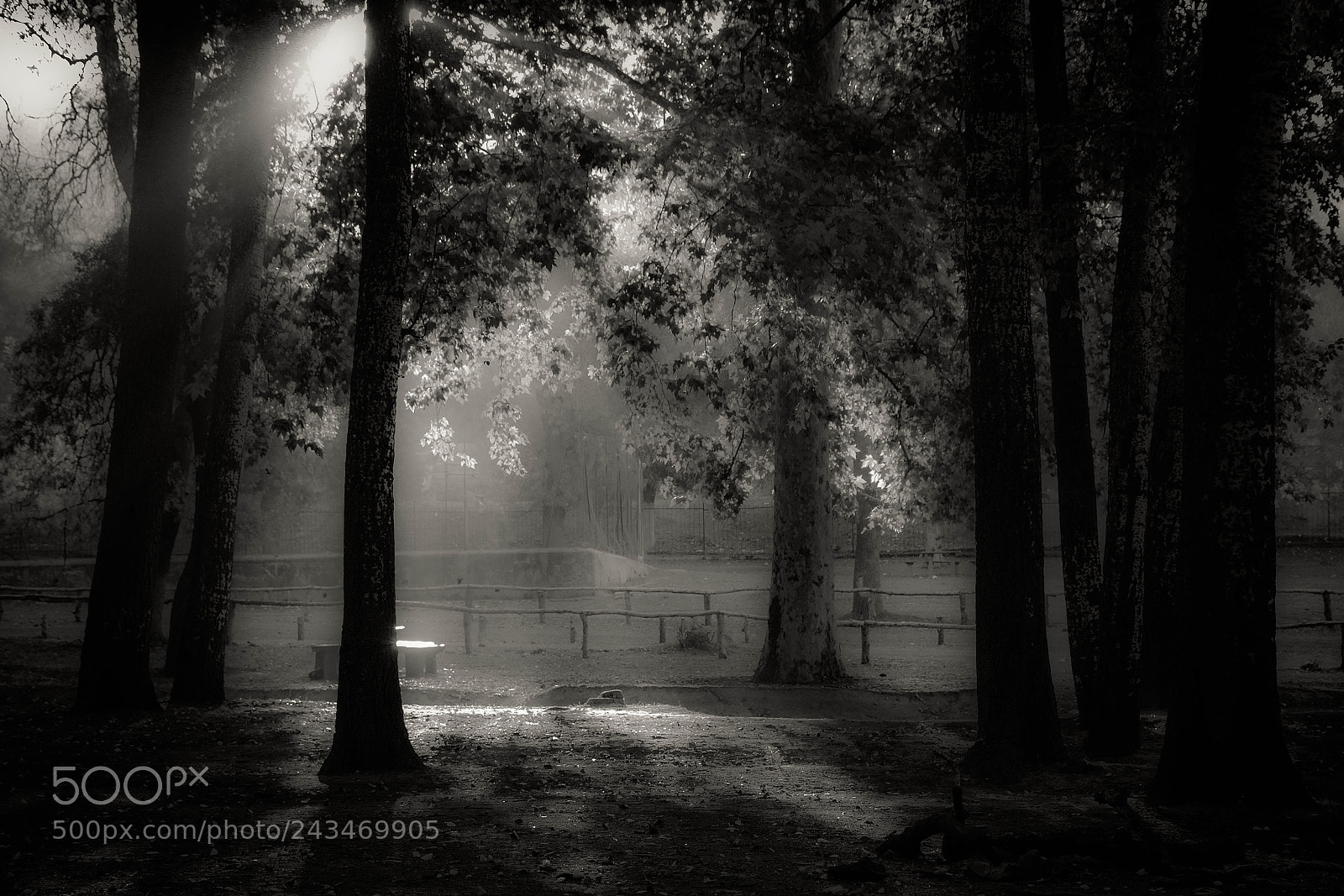Nikon D7100 sample photo. Light and shadows photography