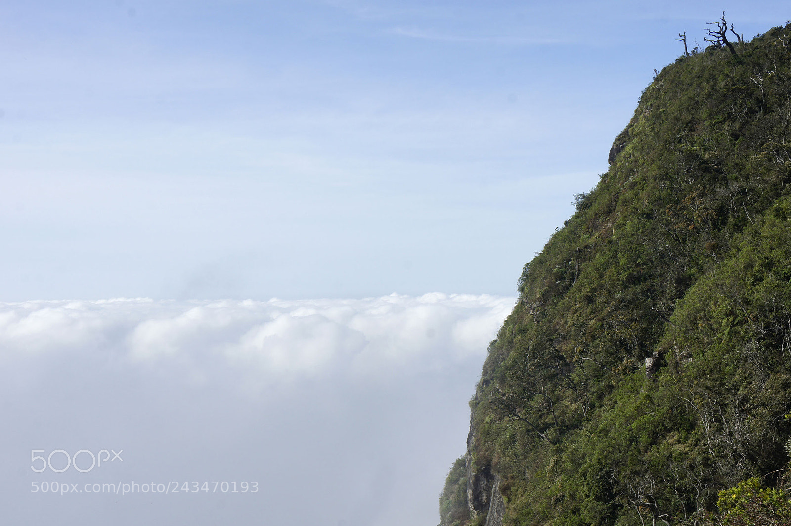 Sony Alpha NEX-5 sample photo. Sri lanka 2014, shoot photography