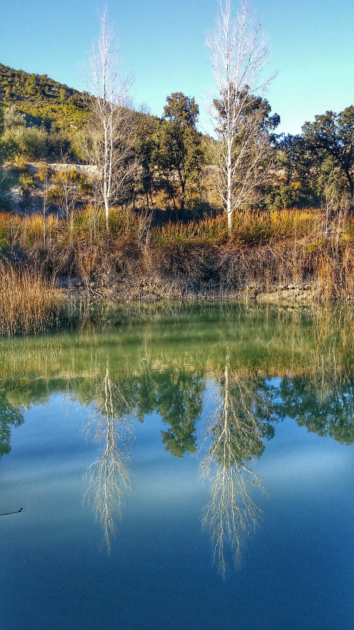 Samsung Galaxy S5 LTE-A sample photo. Reflex photography