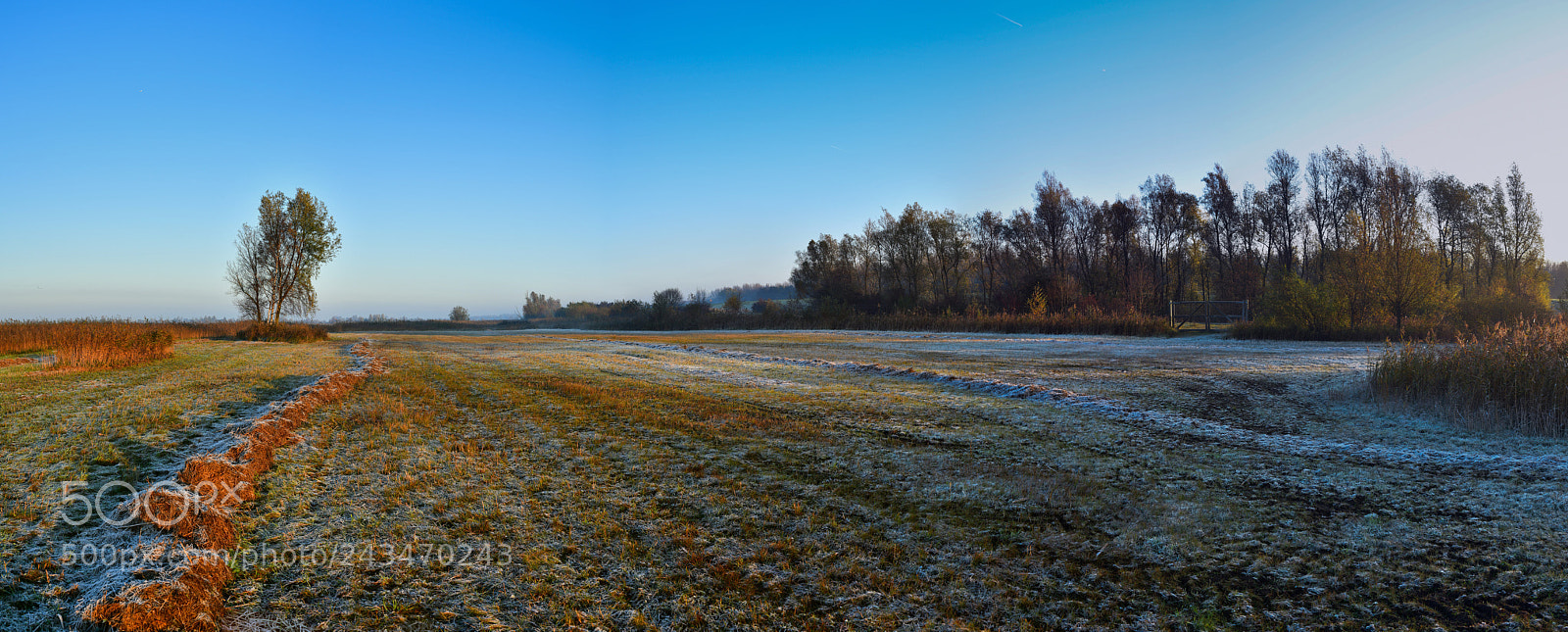 Nikon D850 sample photo. Sunrise over frozen ground photography