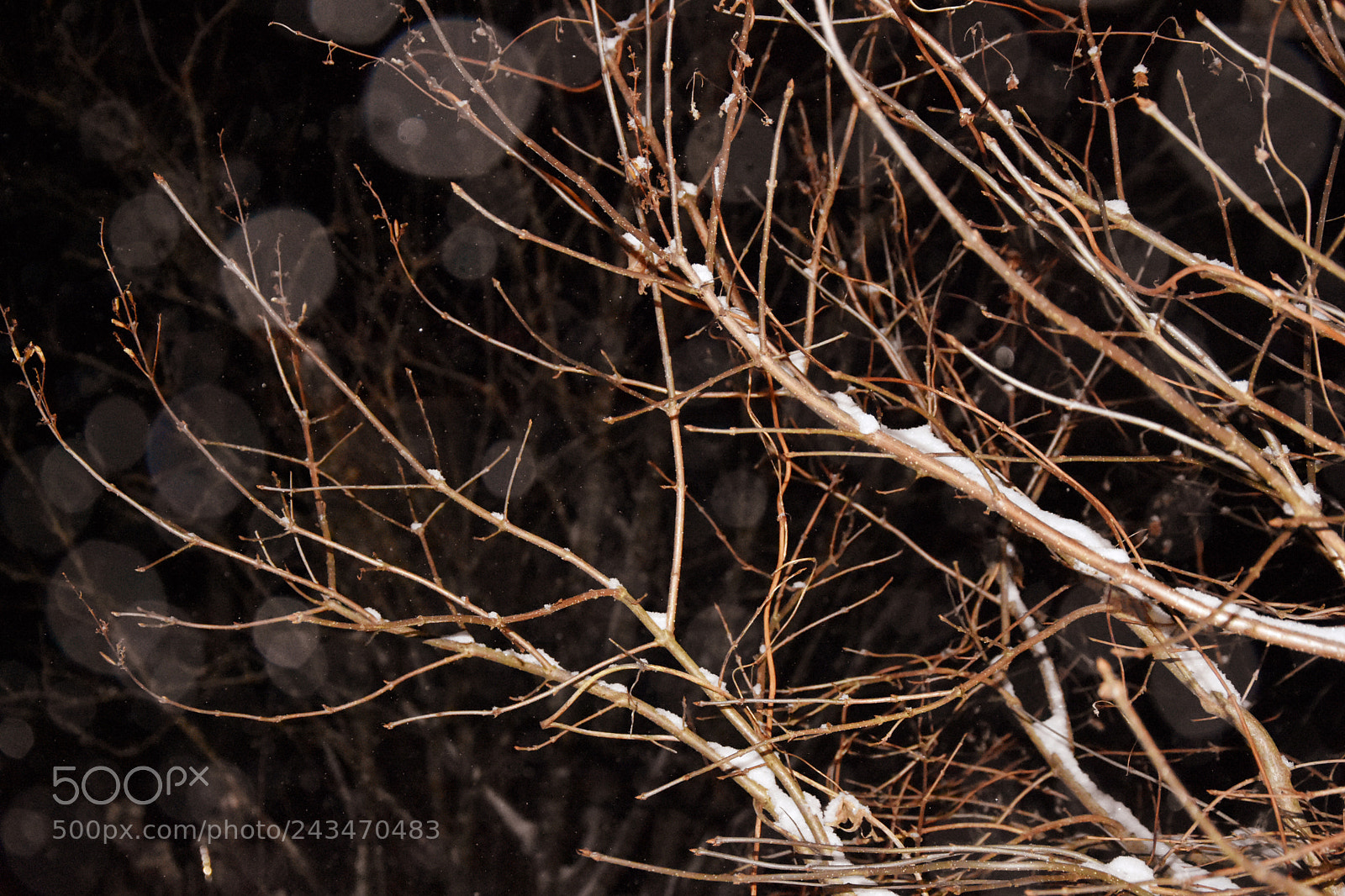 Nikon D7200 sample photo. Snowy night photography