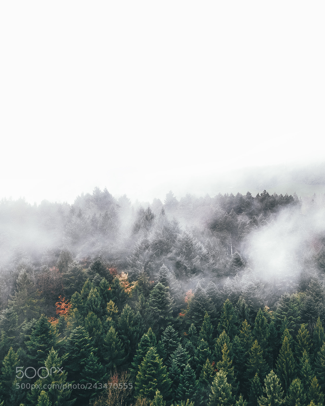 DJI FC220 sample photo. Fog photography