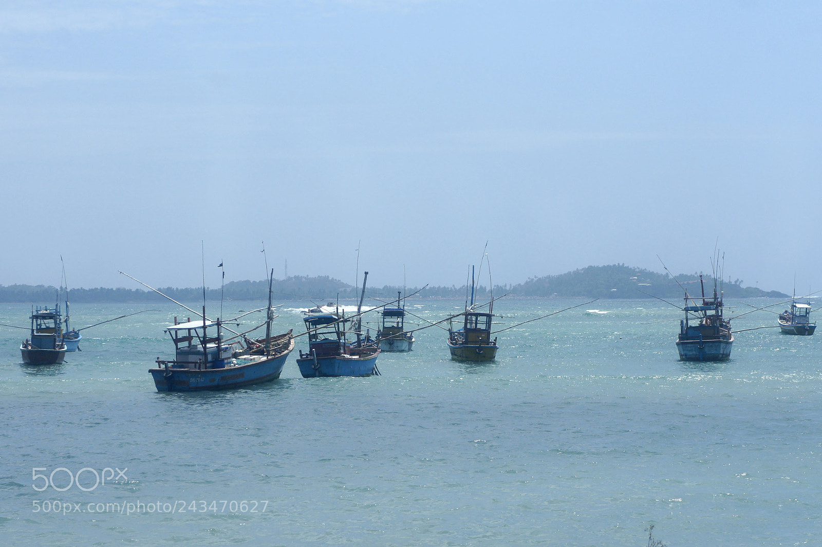 Sony Alpha NEX-5 sample photo. Sri lanka 2014, shoot photography