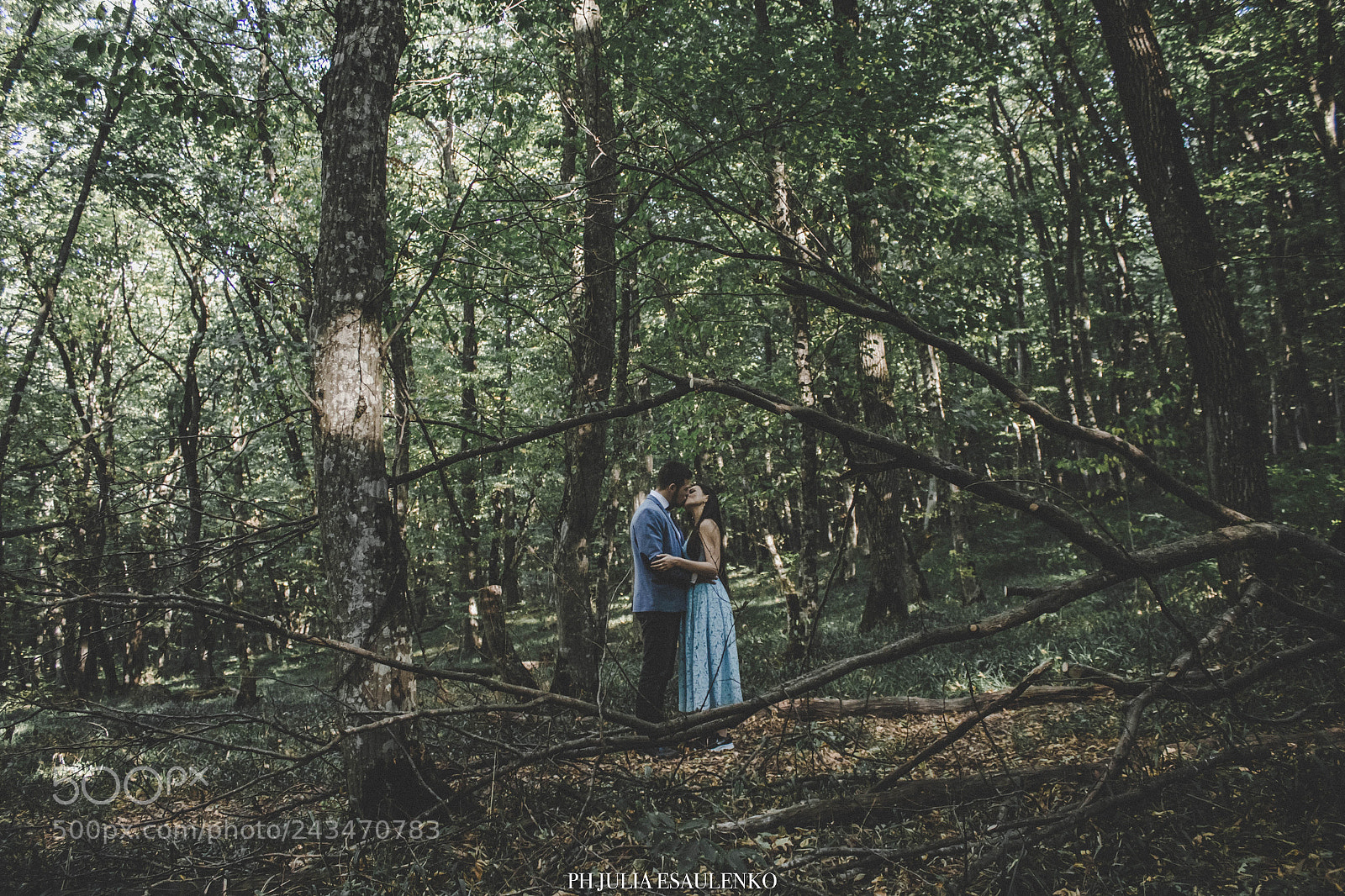 Canon EOS 60D sample photo. Wedding walking of alexander photography