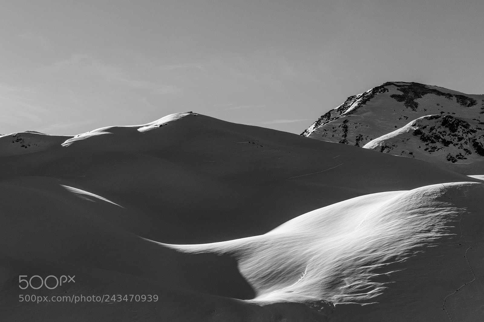 Canon EOS 7D Mark II sample photo. Shadows game photography