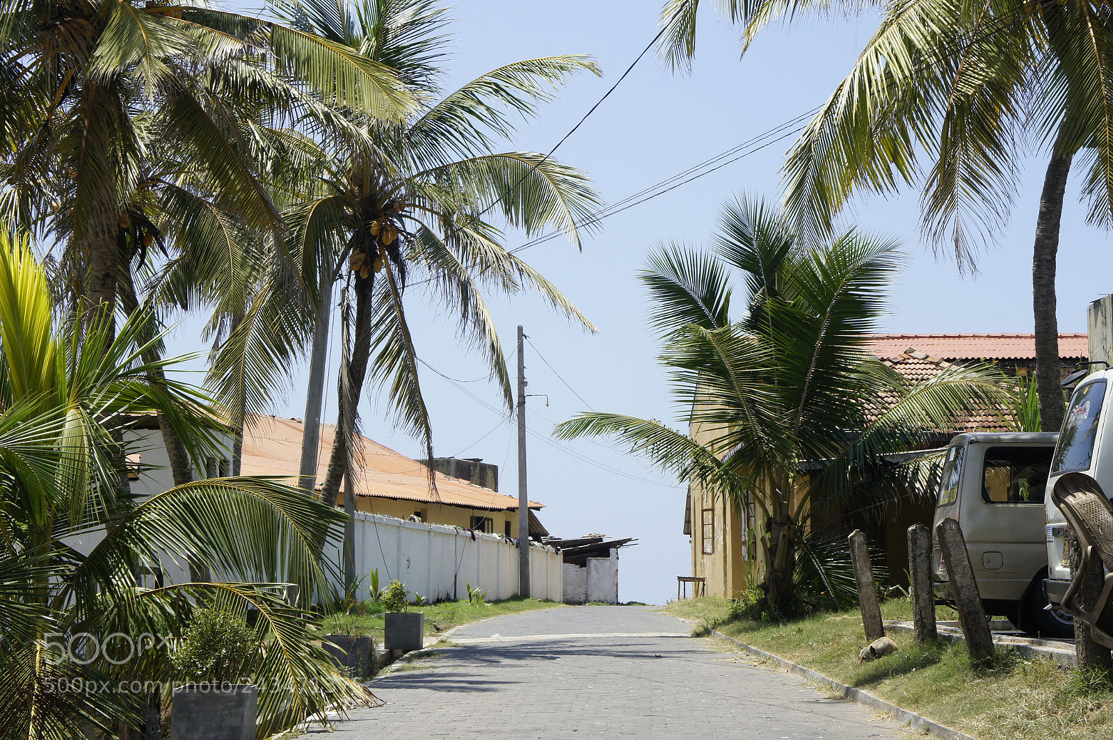 Sony Alpha NEX-5 sample photo. Sri lanka 2014, shoot photography
