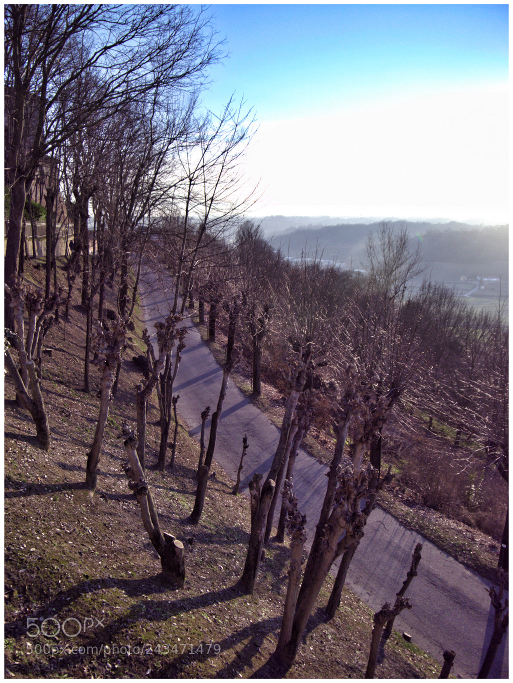Panasonic Lumix DMC-GX1 sample photo. Langhe#2 photography