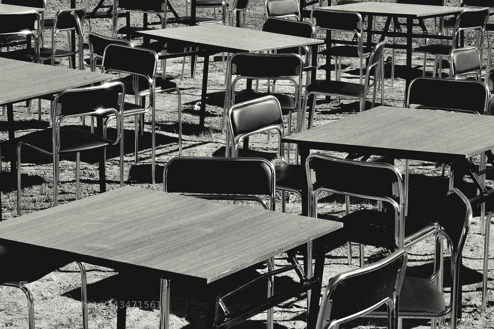 Nikon D3100 sample photo. Monochrome photography