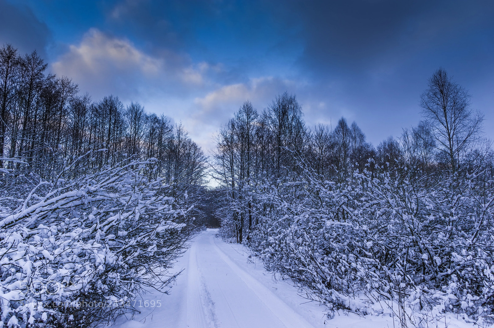 Pentax K-3 II sample photo. Winterland photography