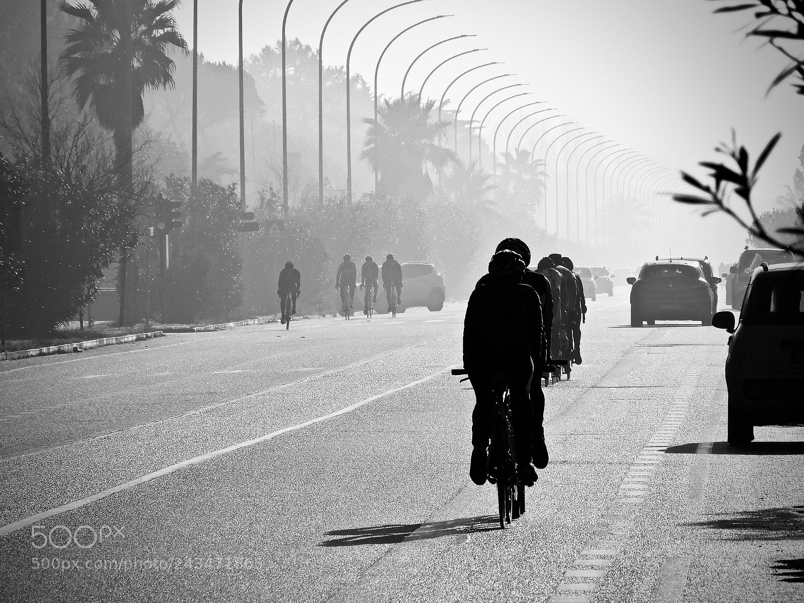 Nikon Coolpix A900 sample photo. Dreaming cycling boulevard photography
