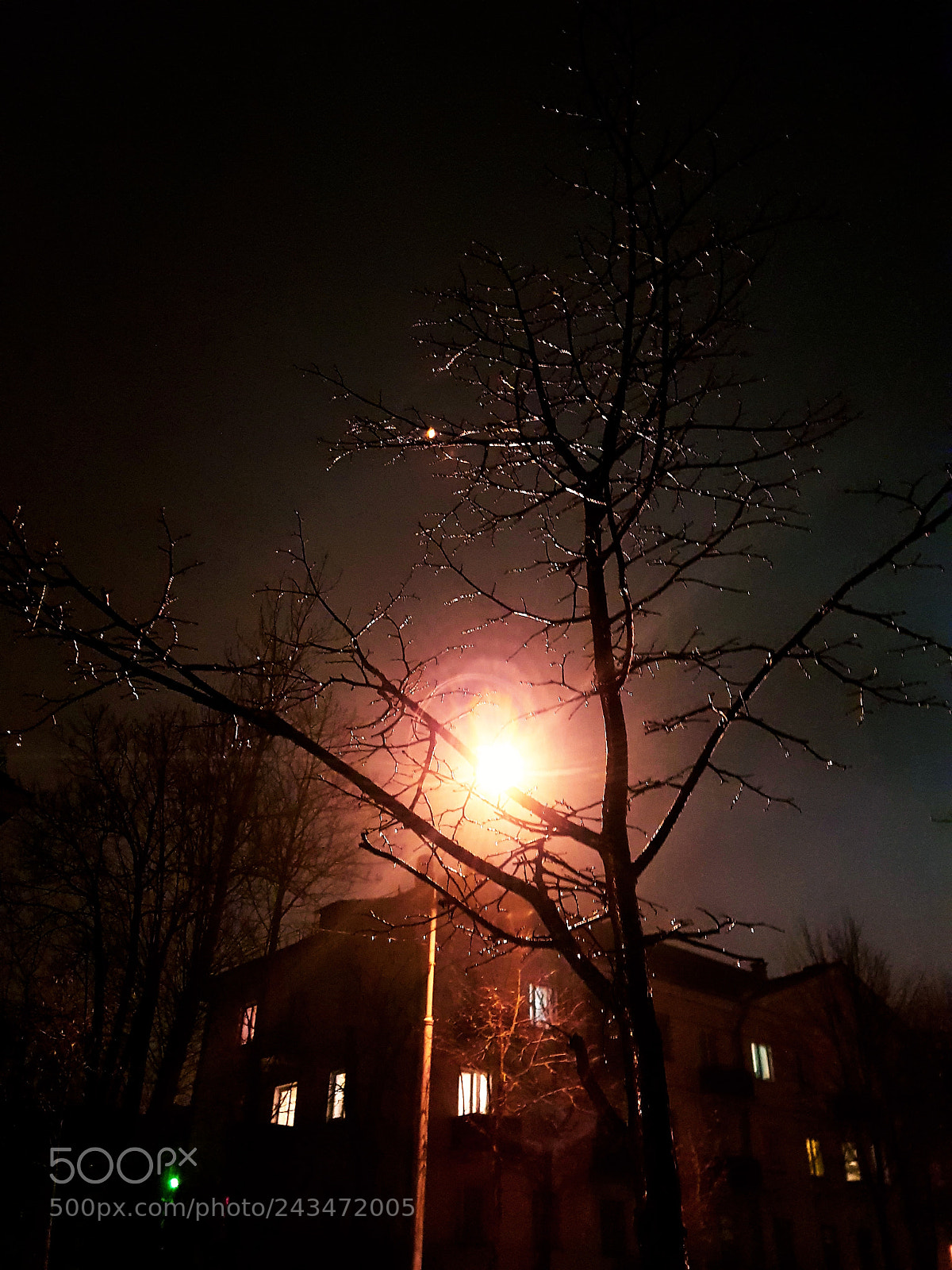 Samsung Galaxy S8+ sample photo. Untitled photography