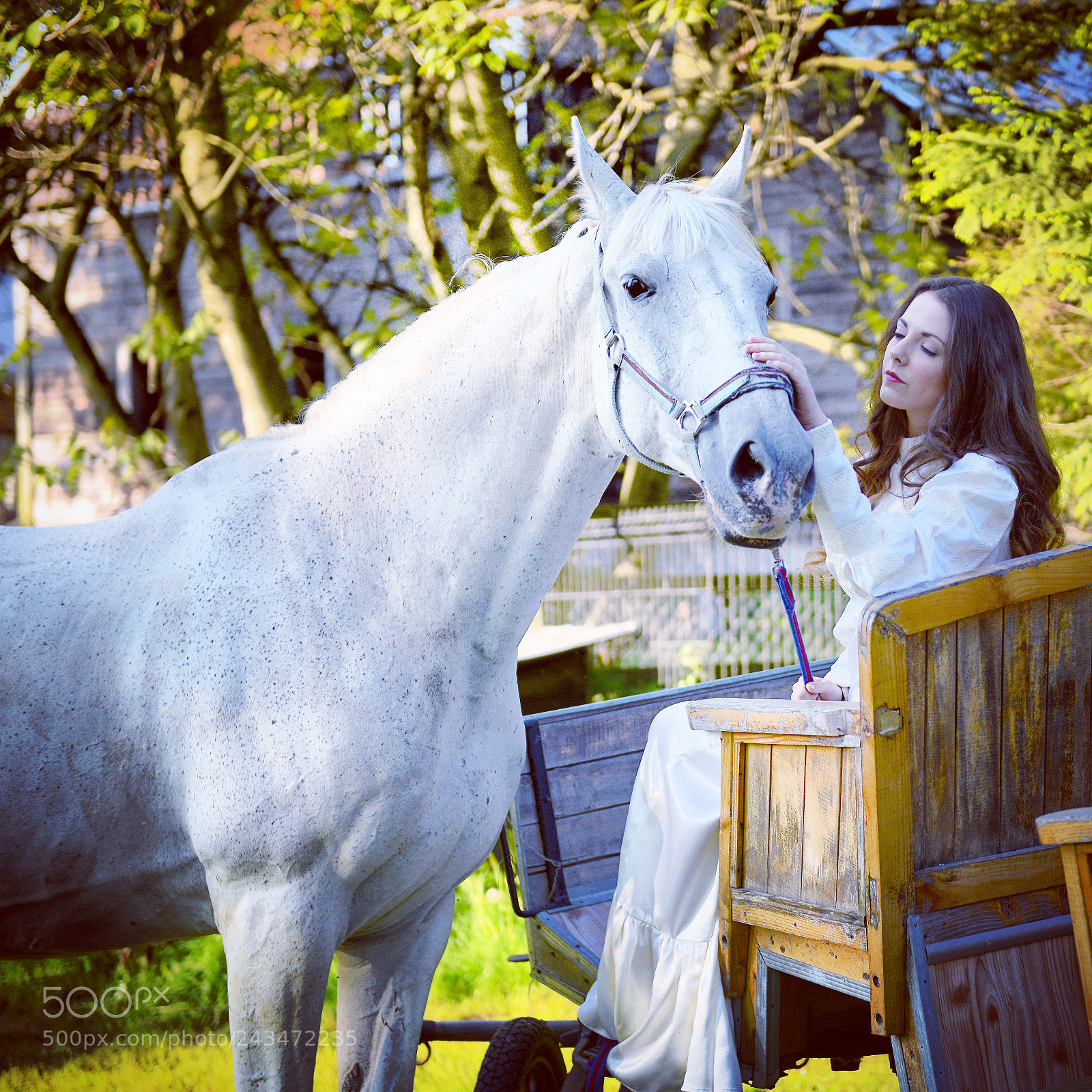 Nikon D800 sample photo. White ... photography