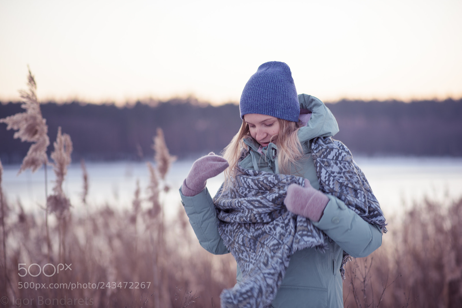 Nikon D810 sample photo. In the reeds photography