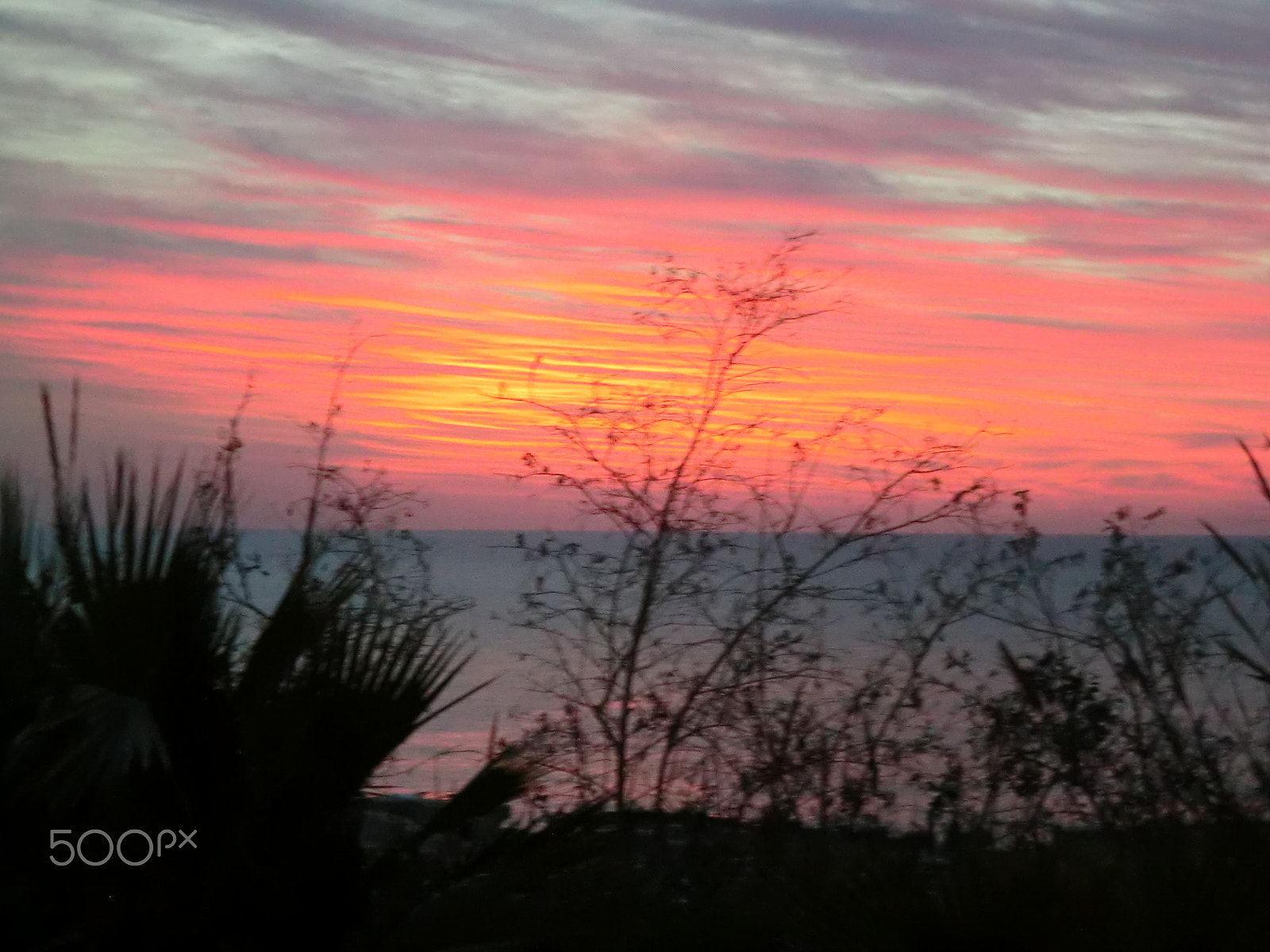 CASIO EX-S200 sample photo. Cimg photography
