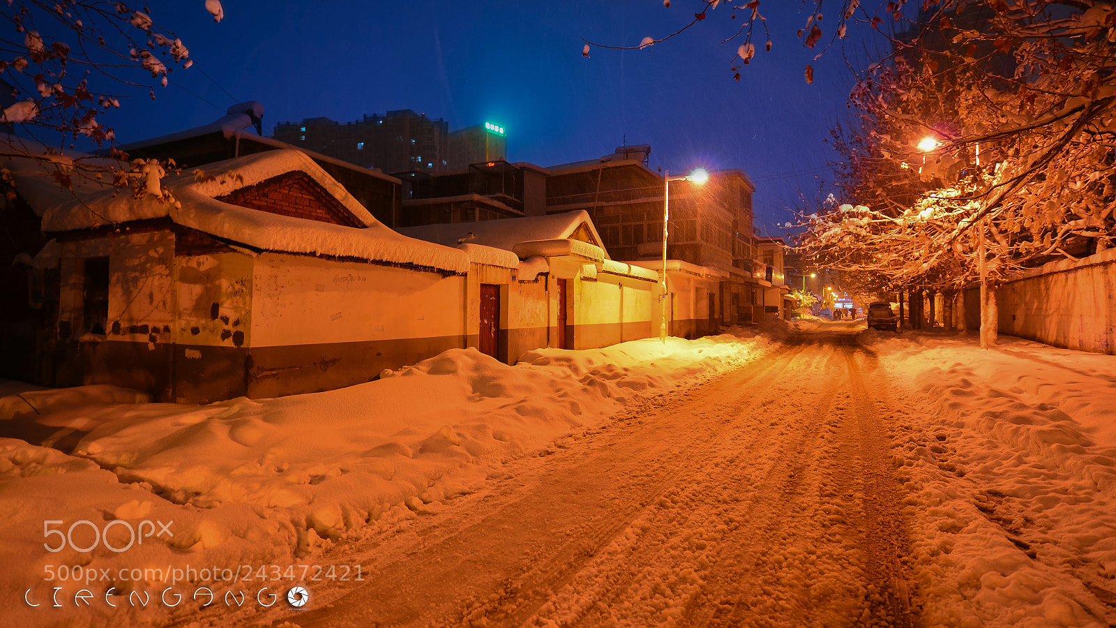 Nikon D800 sample photo. Untitled photography