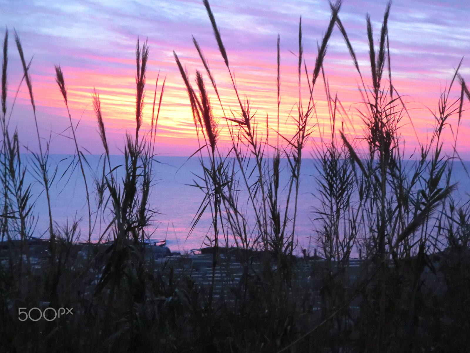 CASIO EX-S200 sample photo. Cimg photography