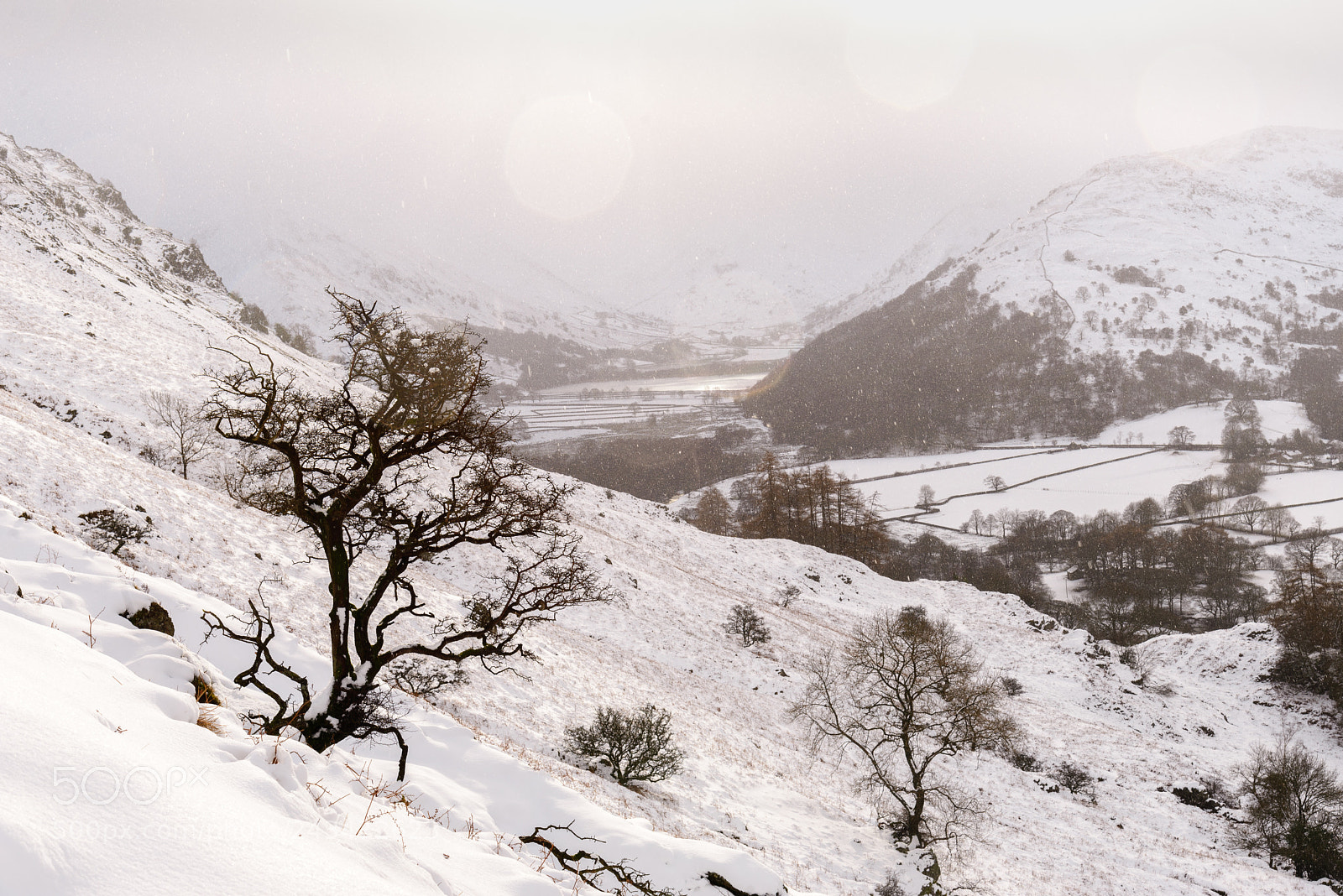 Nikon D610 sample photo. Snowstorm photography