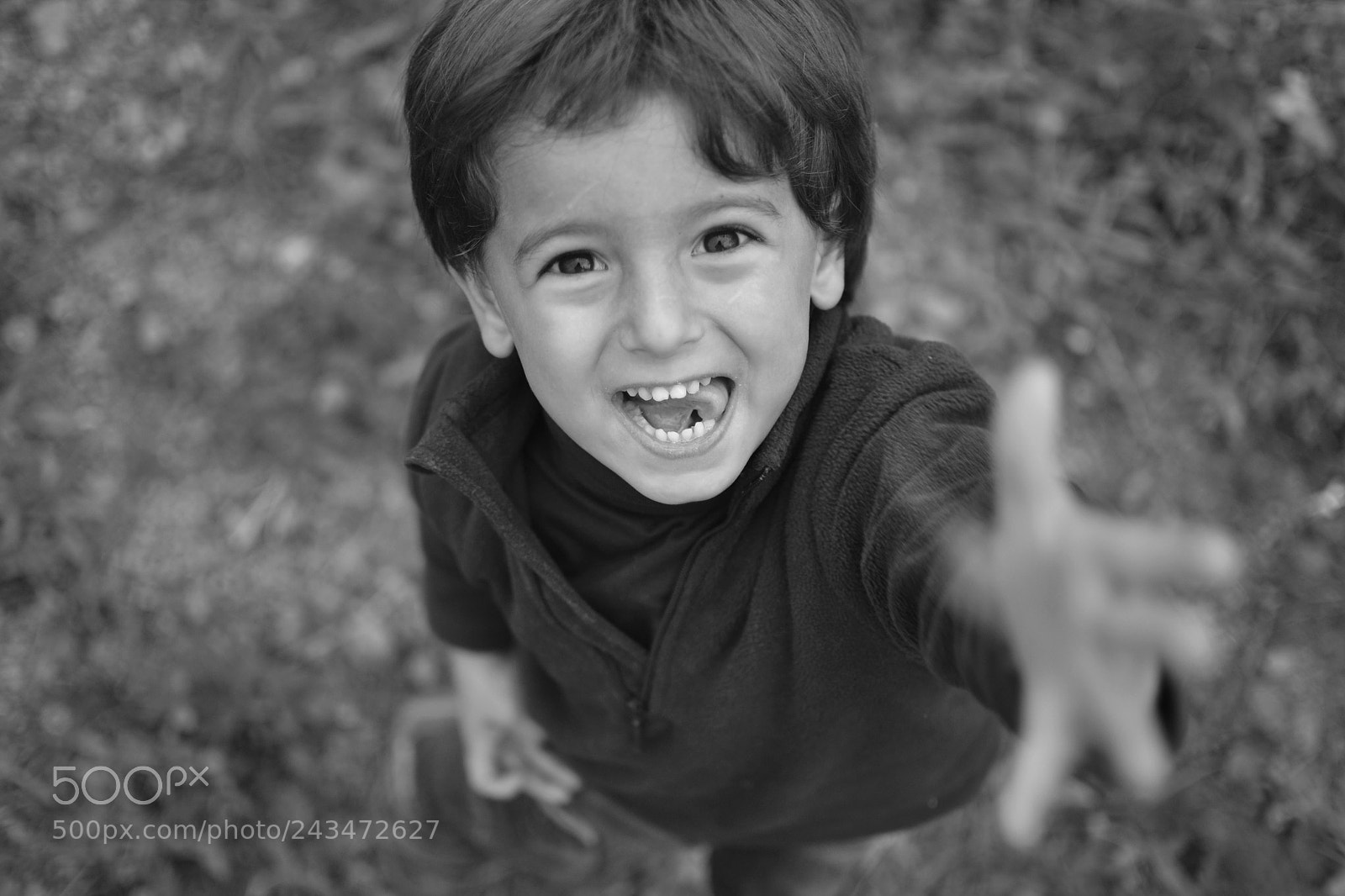 Nikon D3100 sample photo. Untitled photography