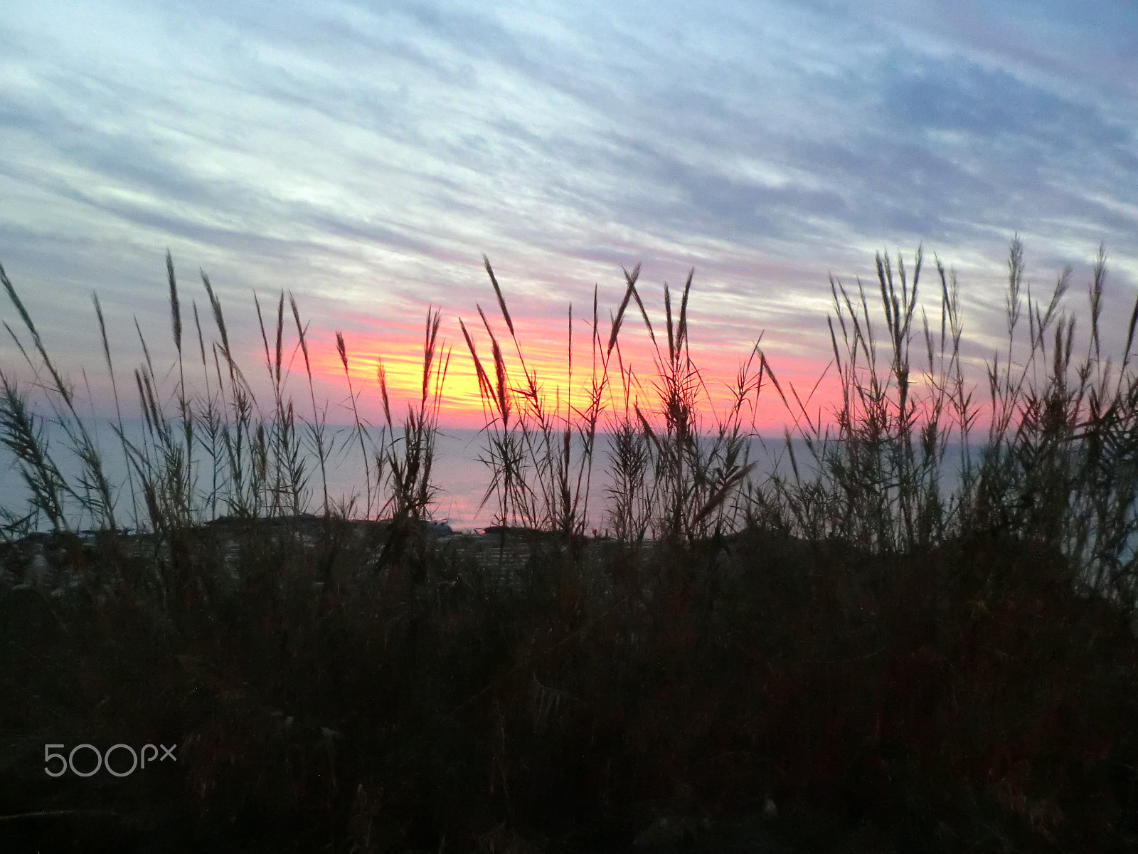 CASIO EX-S200 sample photo. Cimg photography