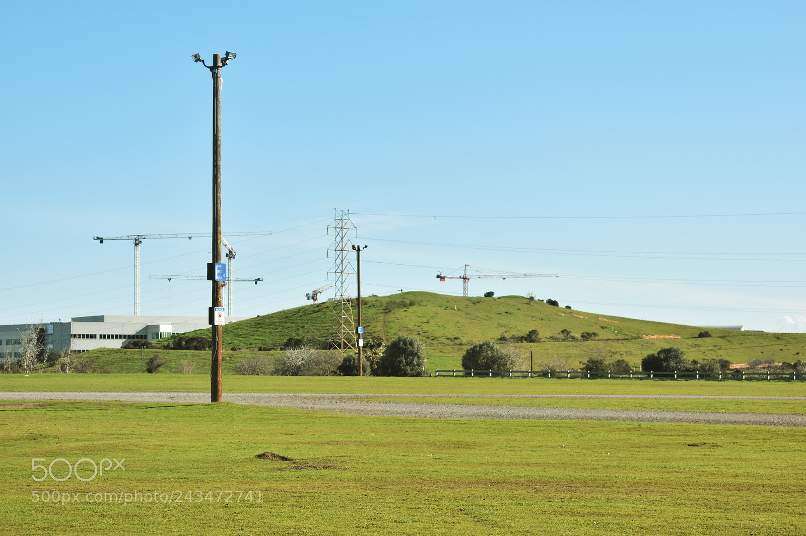 Nikon D5600 sample photo. So green, it hurts photography