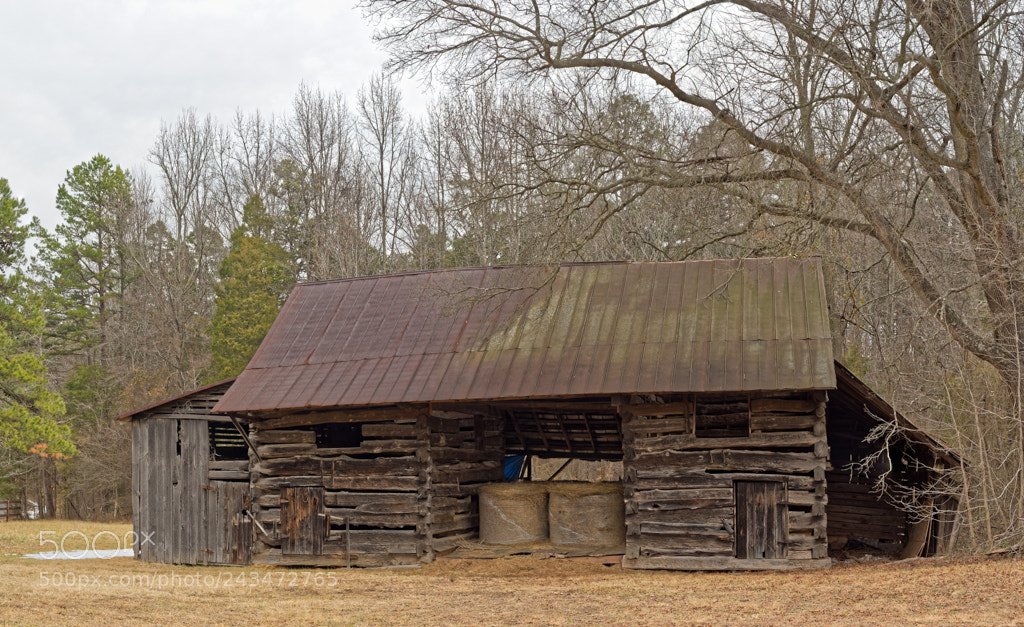 Nikon D810 sample photo. Whitsettnc pano edit photography
