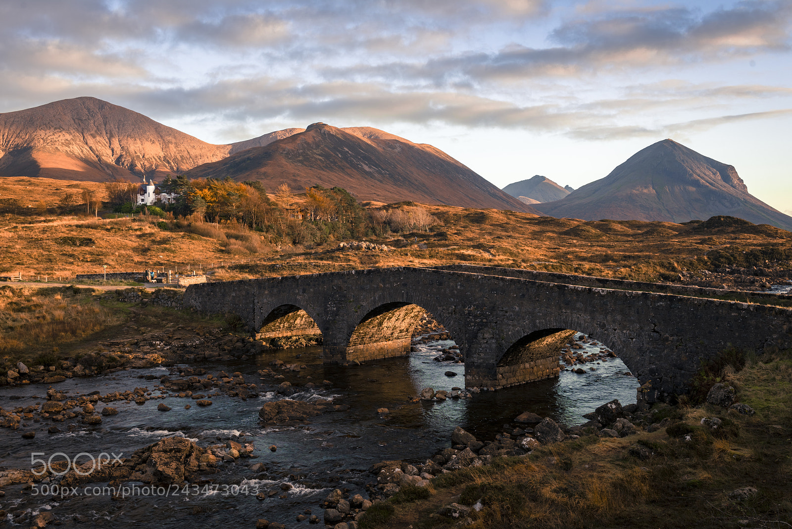 Nikon D810 sample photo. The bridge photography