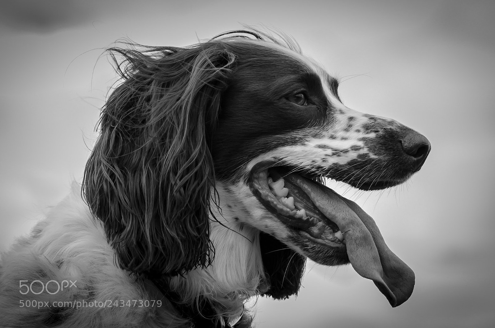 Nikon D5100 sample photo. Moody rubes photography