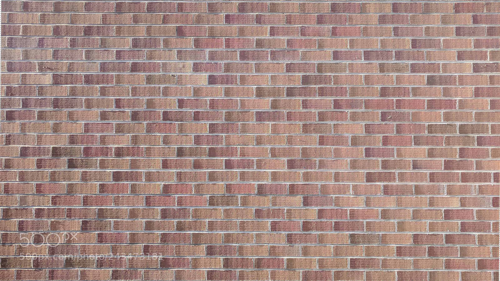 Google Pixel sample photo. Brick wall in sunshine photography