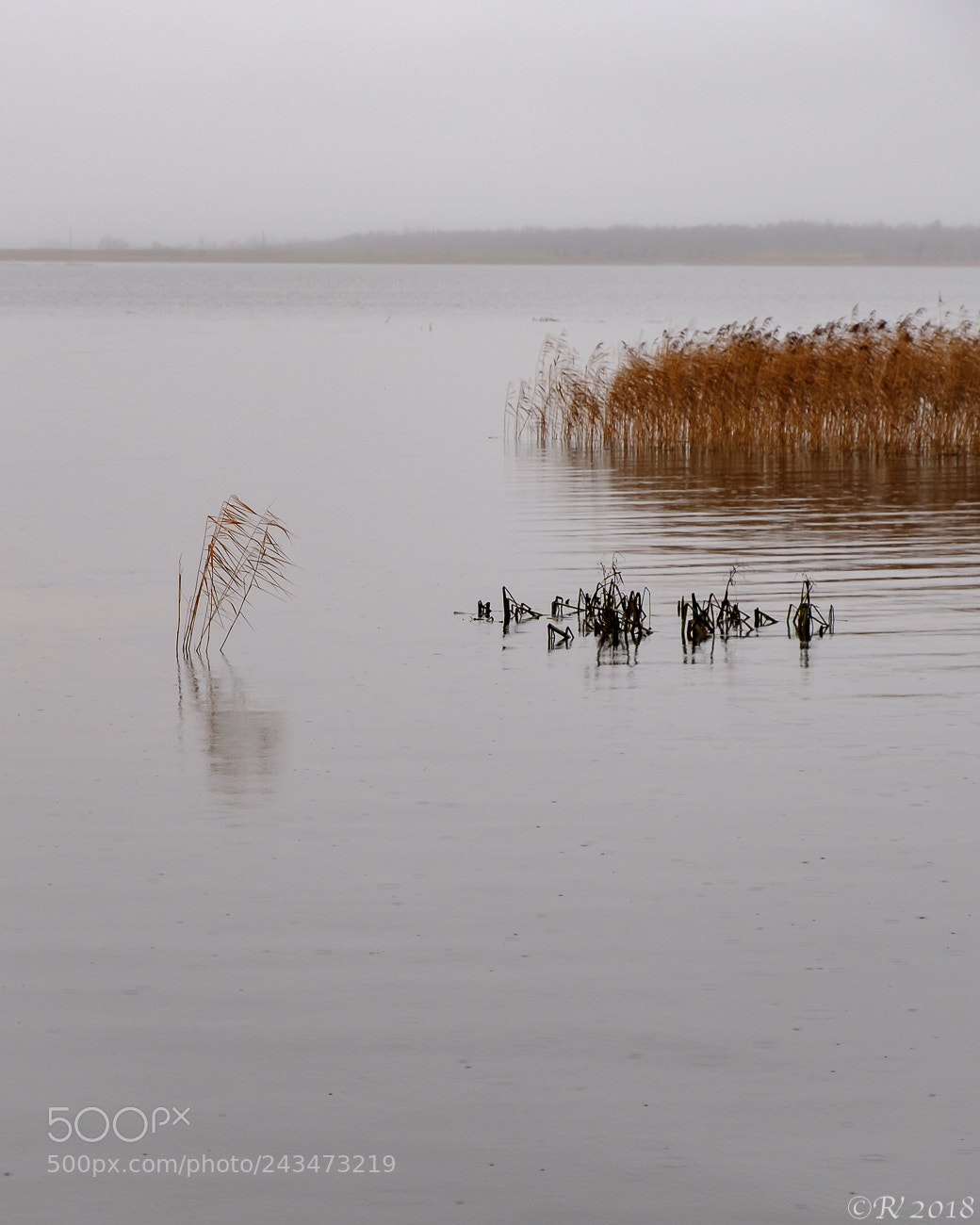 Fujifilm X-T2 sample photo. Rainy day at the photography