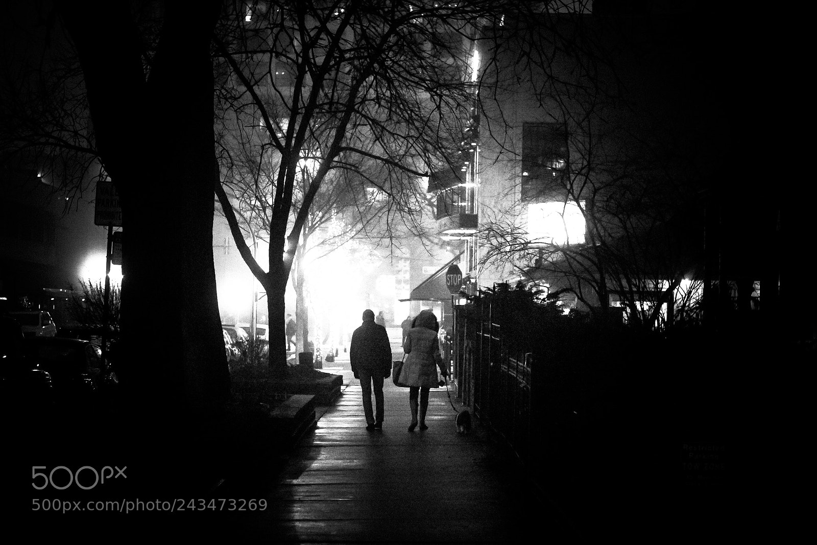 Canon EOS 60D sample photo. In the night photography