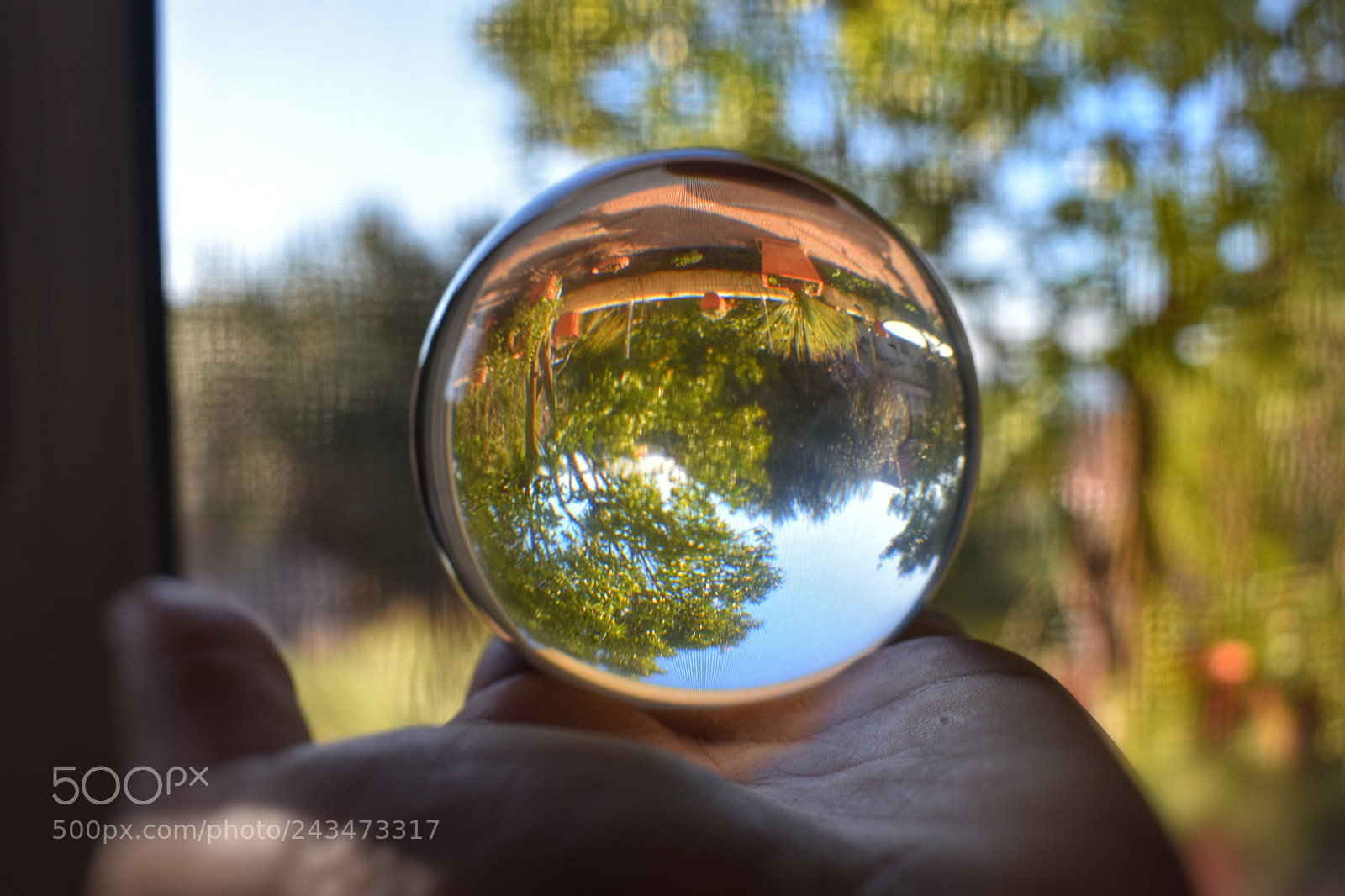Nikon D5600 sample photo. Untitled photography