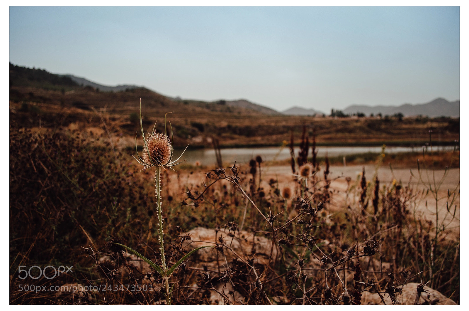 Nikon D5100 sample photo. Moratalla photography