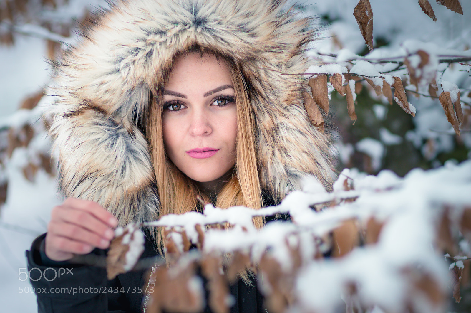 Sony a6500 sample photo. Winter time photography