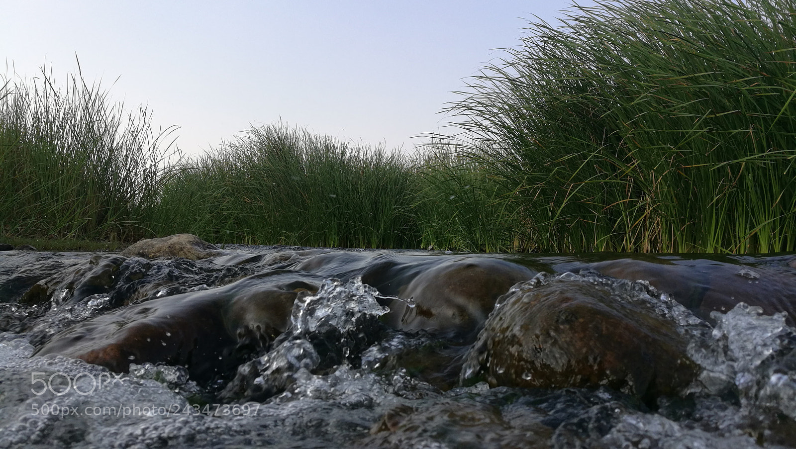 HUAWEI Honor 8 sample photo. Untitled photography