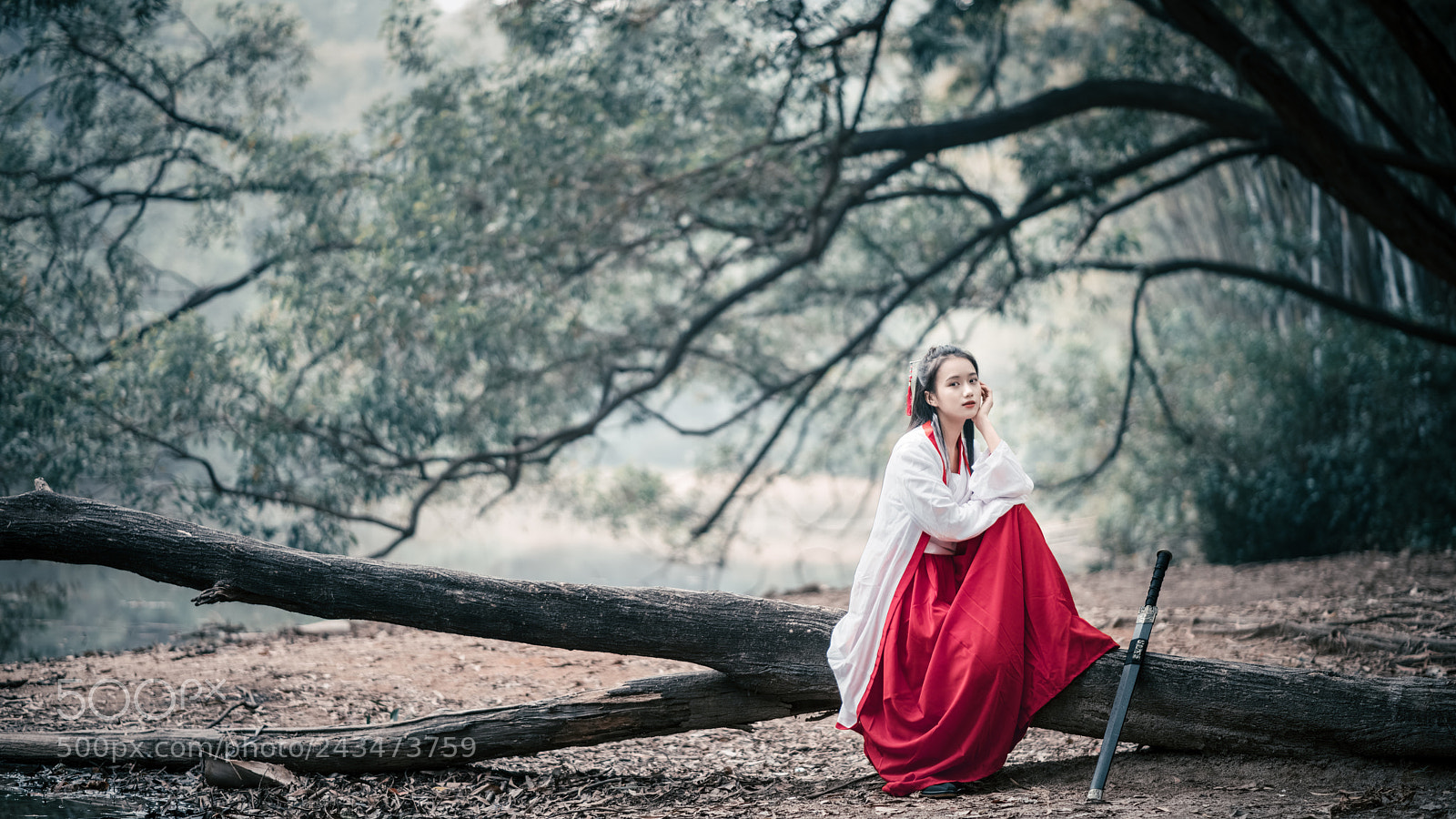 Nikon D810 sample photo. Untitled photography