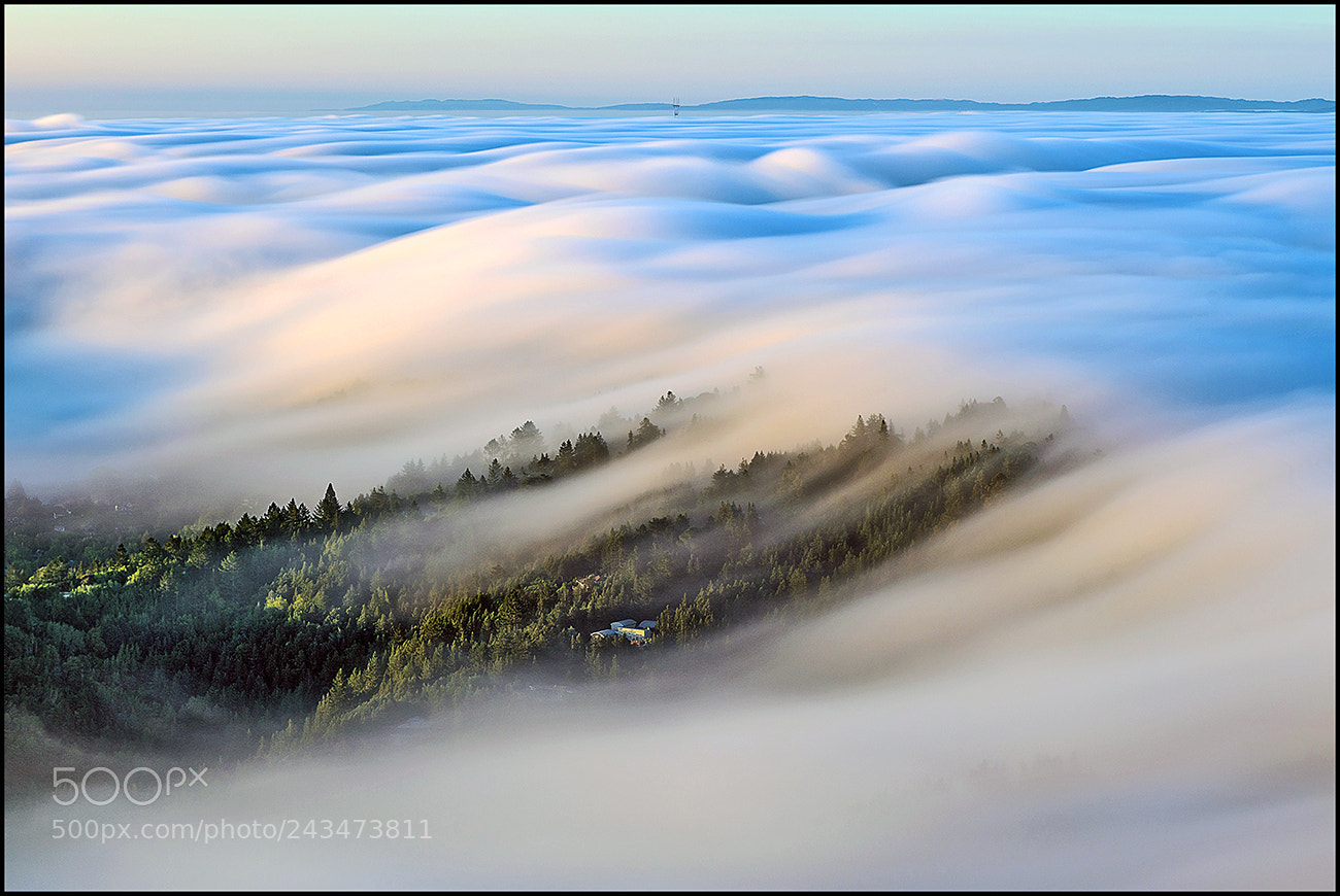 Nikon D810 sample photo. Fog waves from mt photography