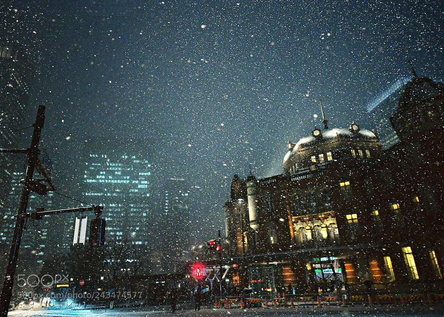 Nikon D850 sample photo. Snowfall at tokyo station photography