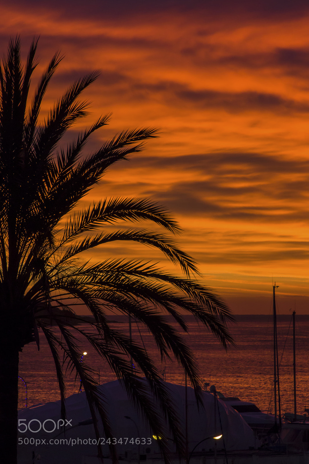 Canon EOS 7D Mark II sample photo. Alba a mentone photography