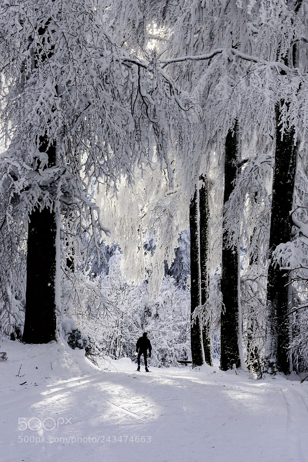 Nikon D7200 sample photo. Snow photography