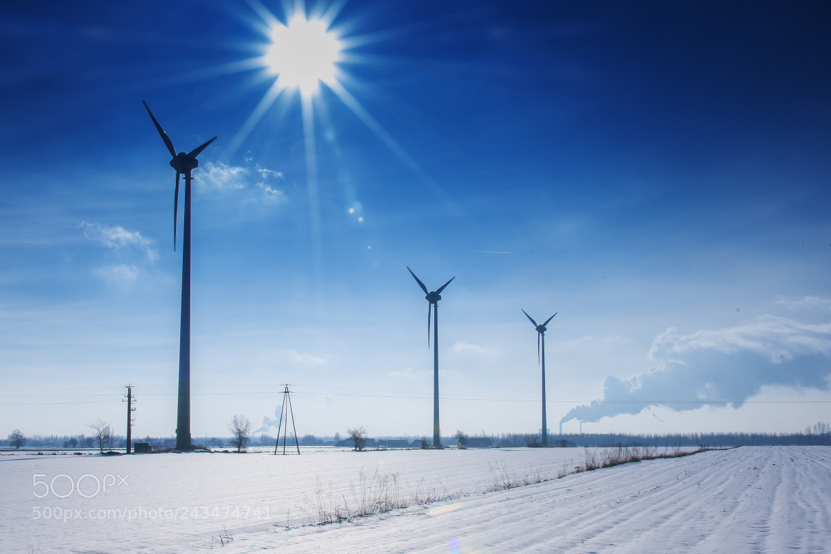 Nikon D500 sample photo. Sun and wind photography
