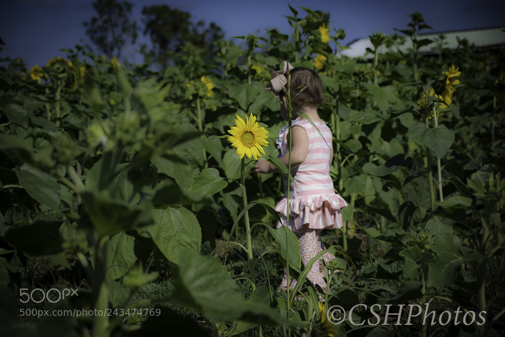 Nikon D500 sample photo. Untitled photography