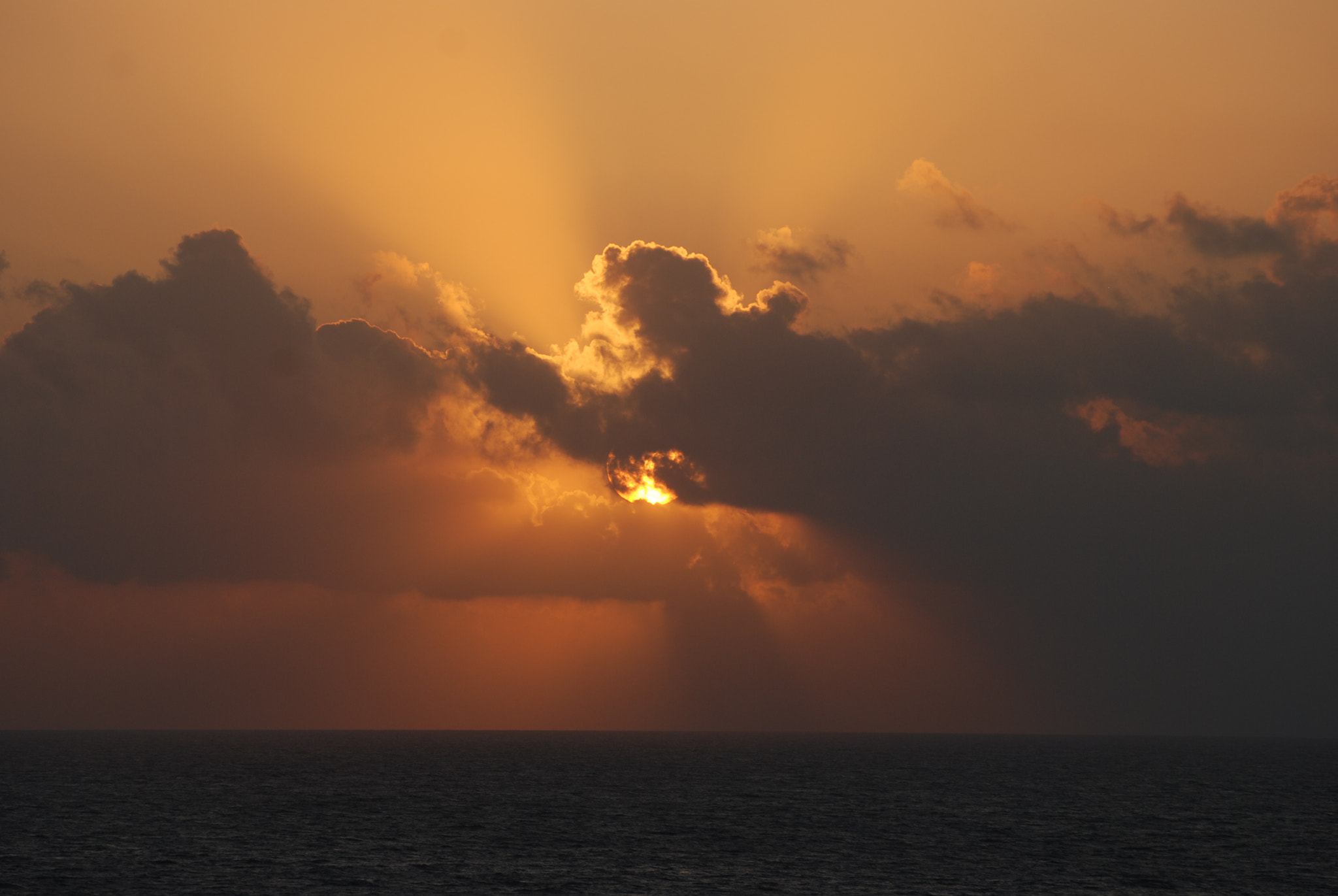 Nikon D80 sample photo. What do you see? photography