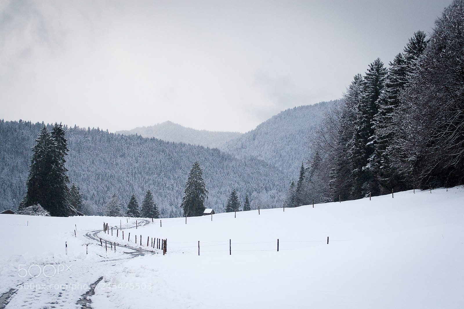 Canon EOS 30D sample photo. Road photography